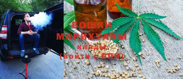 соль ск Дмитриев