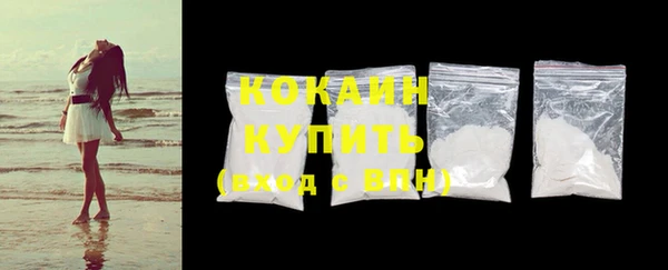 индика Карпинск