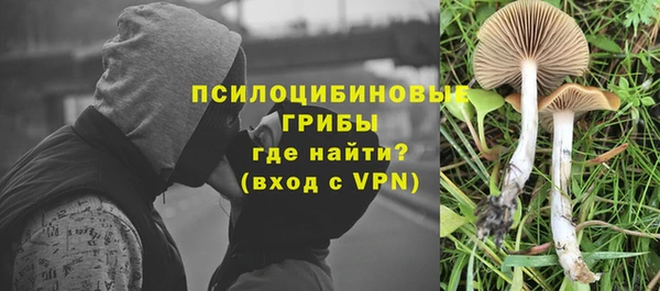 хмурый Абинск