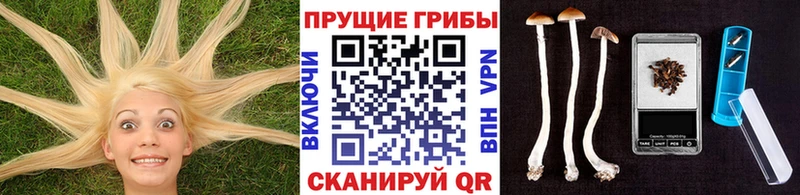 Псилоцибиновые грибы MAGIC MUSHROOMS  Ряжск 